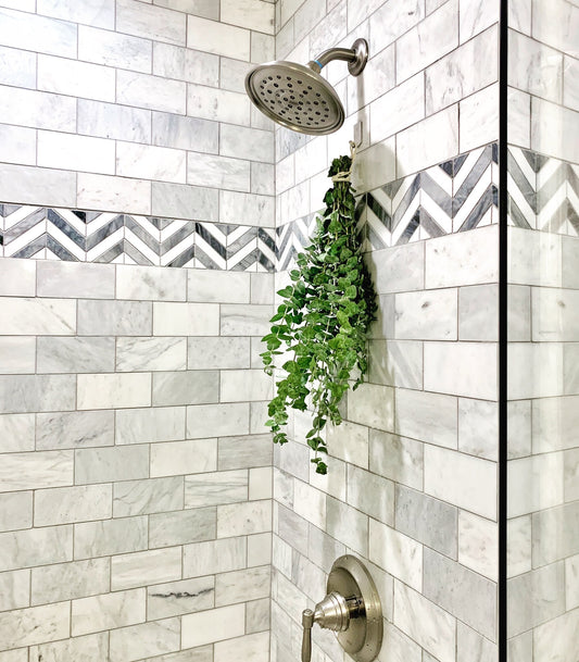 eucalyptus hanging under the shower head in a white tiled bathroom.