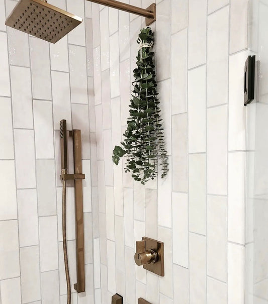 Using Eucalyptus In Your Shower. Hanging Eucalyptus Near Shower Head.