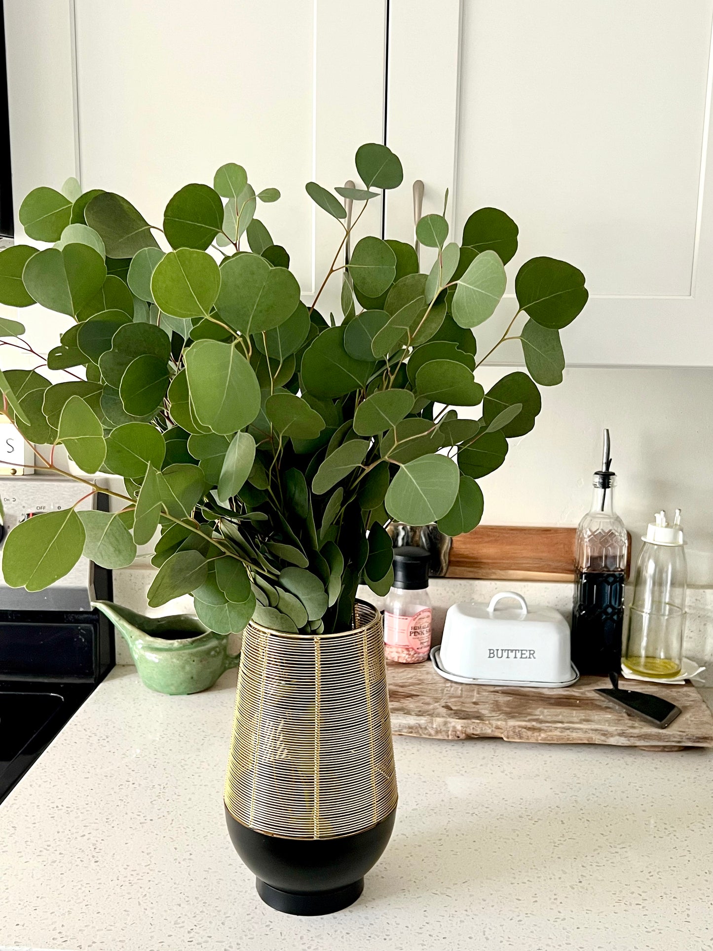 Silver Dollar Eucalyptus