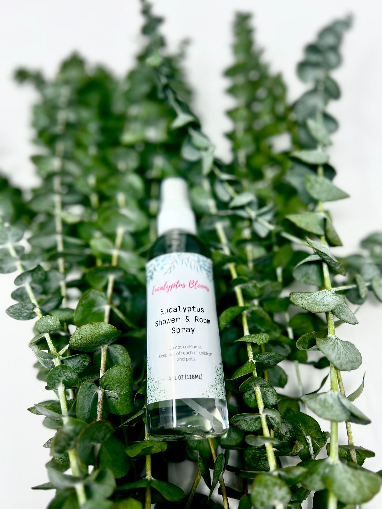 Eucalyptus Spray