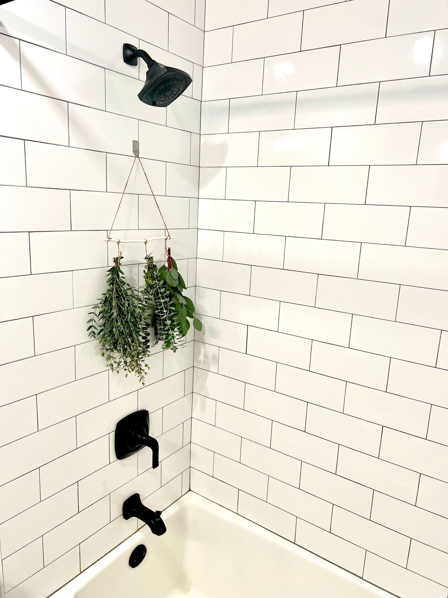 3 Type Hanging Eucalyptus