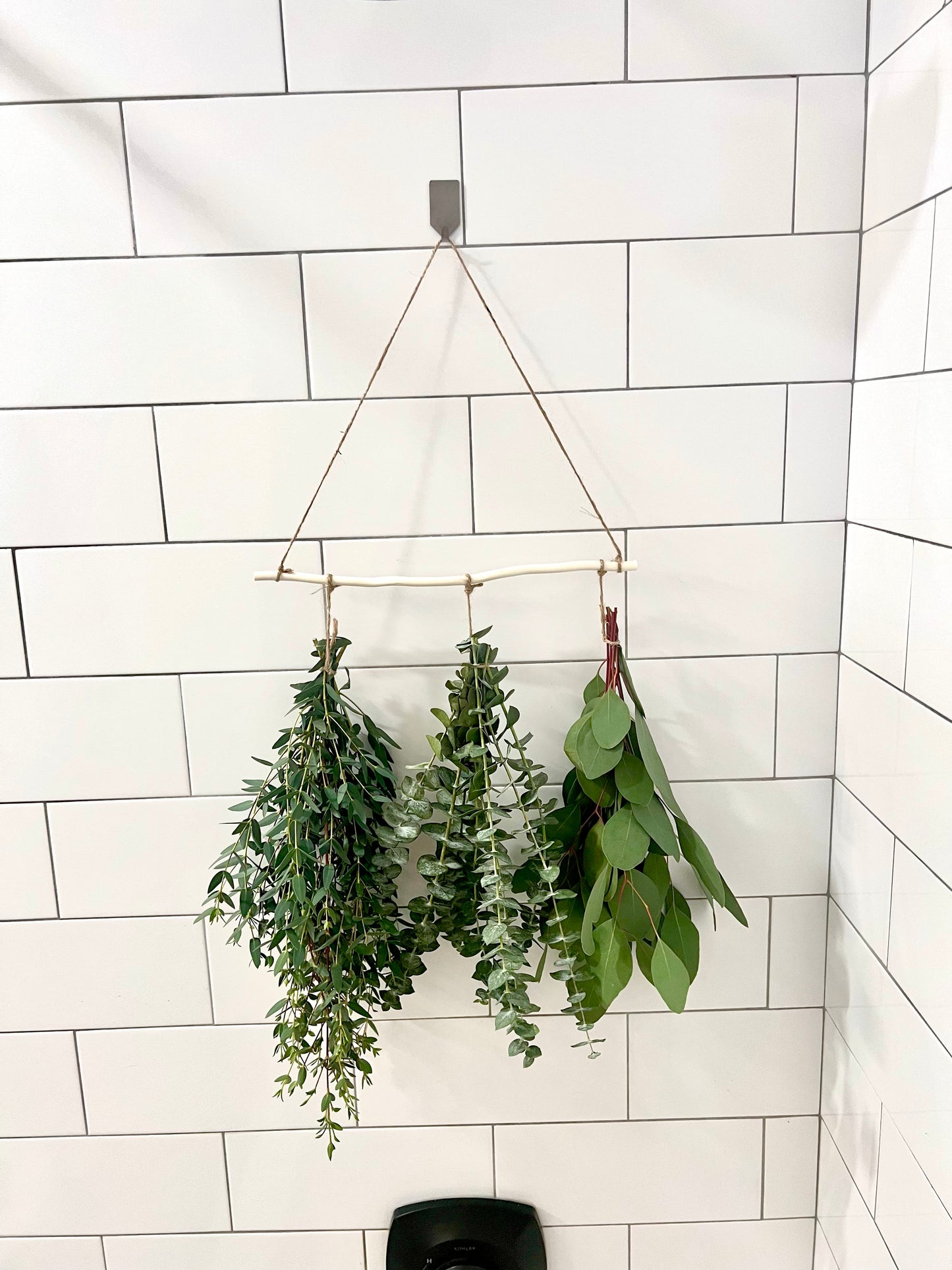 3 Type Hanging Eucalyptus