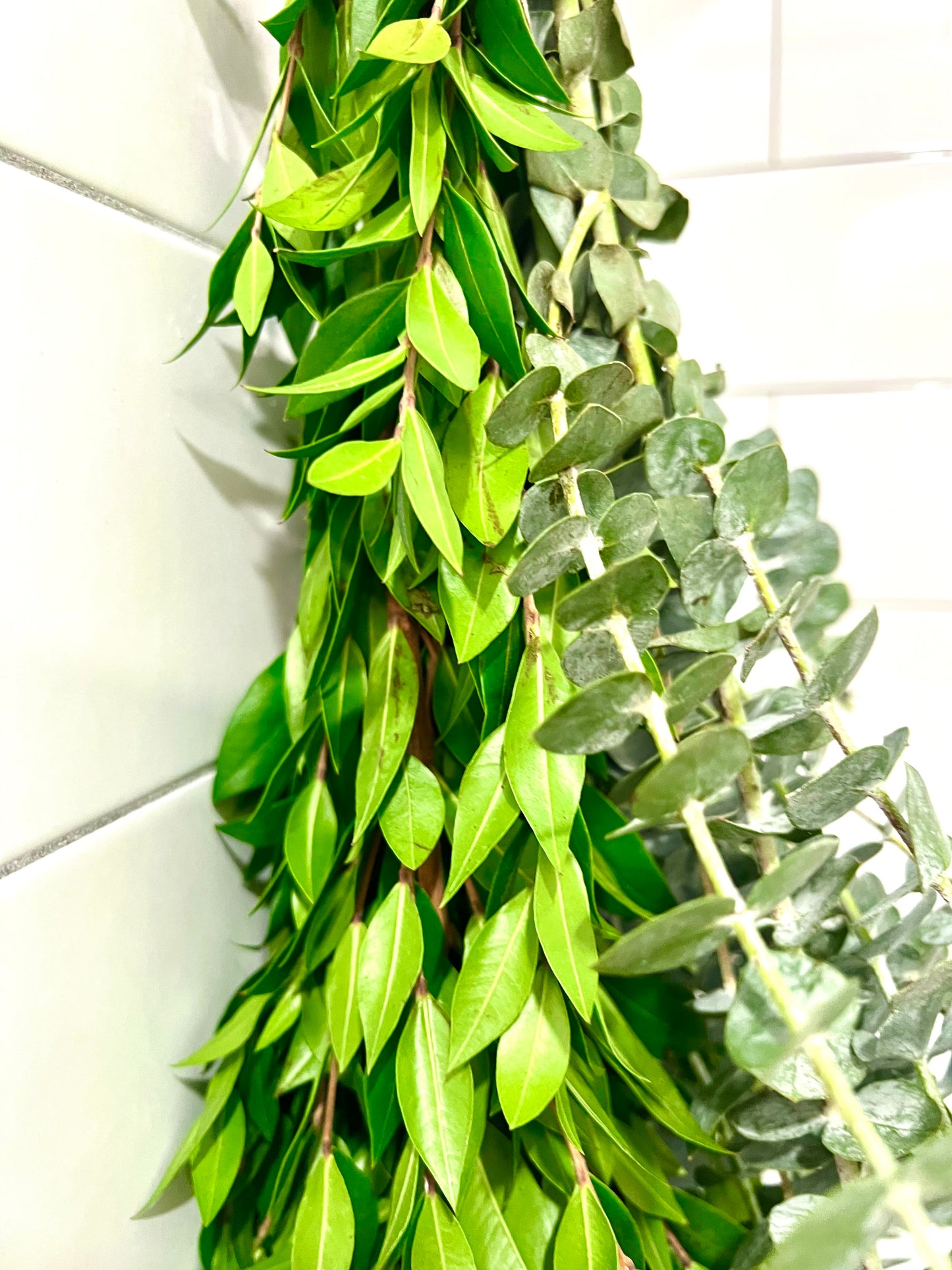 Eucalyptus Myrtle Bundle
