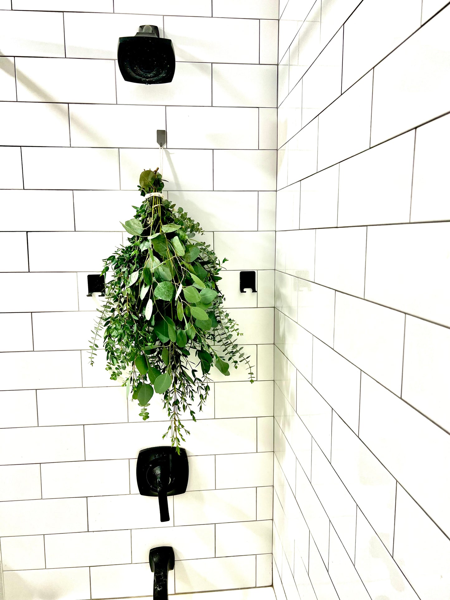 3 Type Eucalyptus Bundle