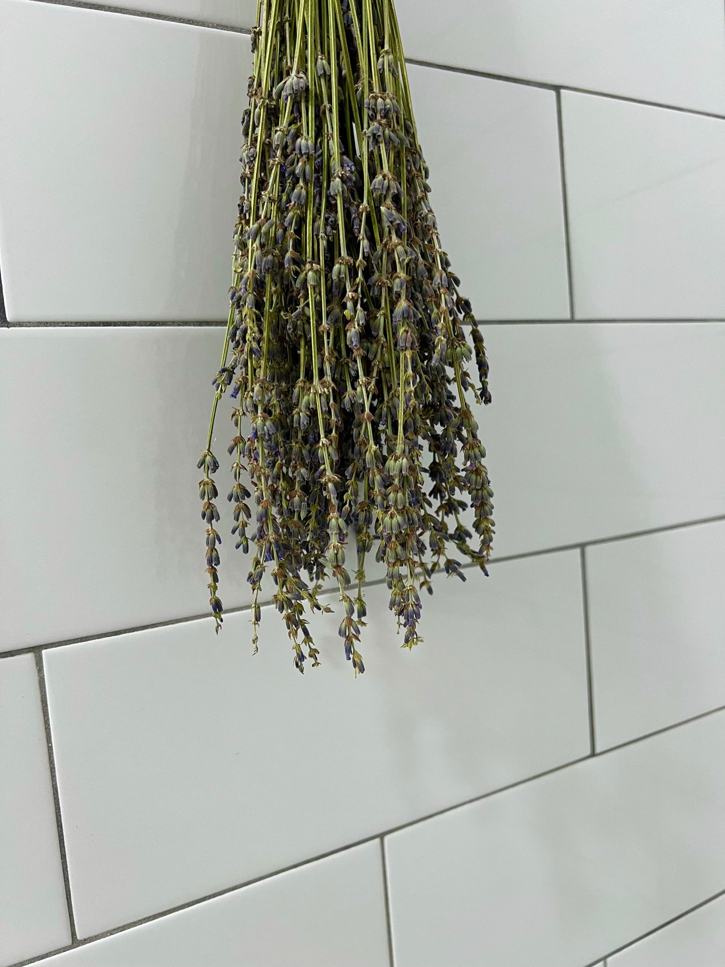 Lavender Shower Bundle