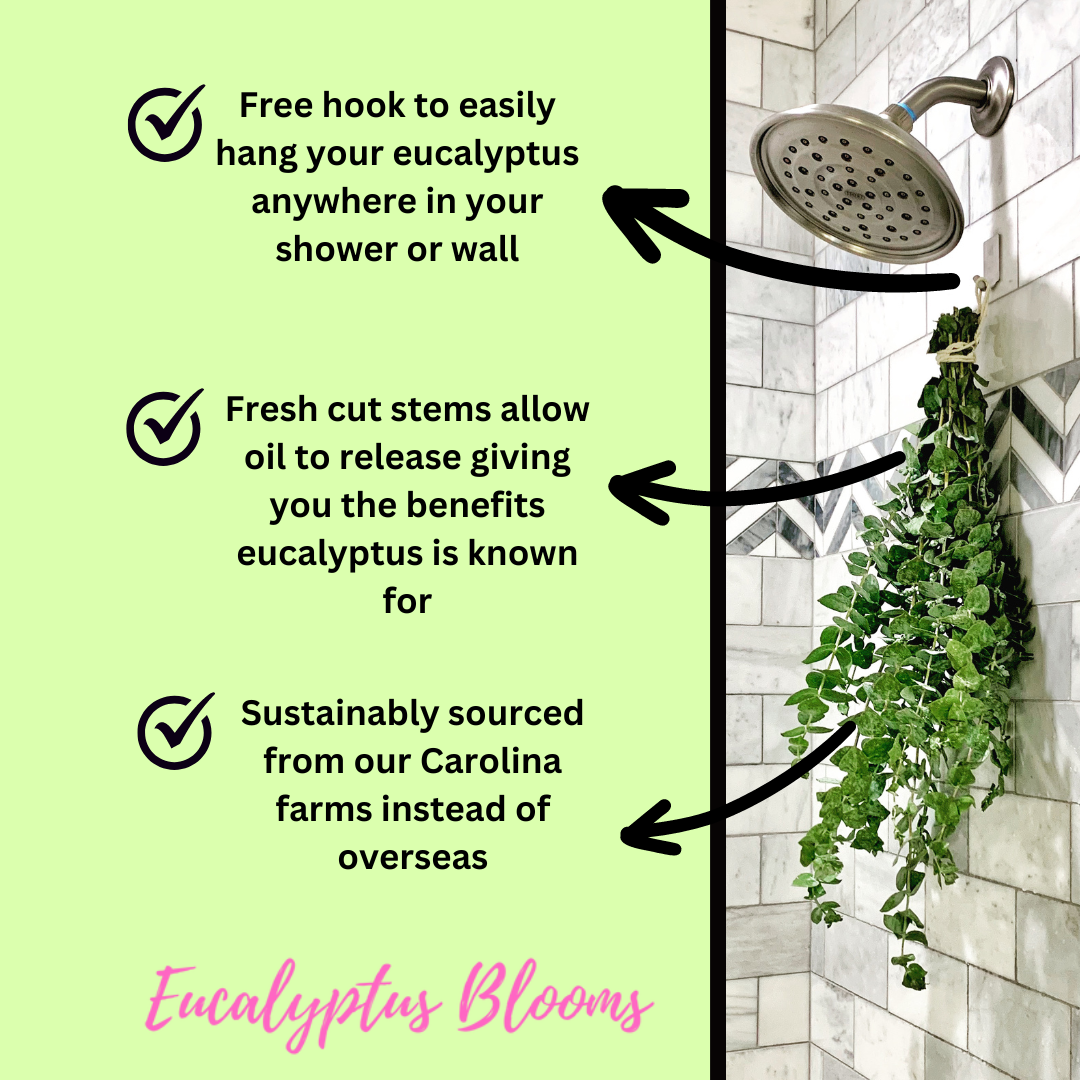 The Original Shower Eucalyptusâ„¢