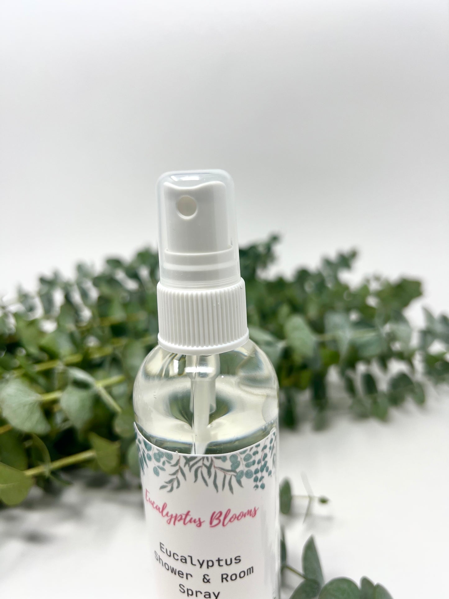 Eucalyptus Spray