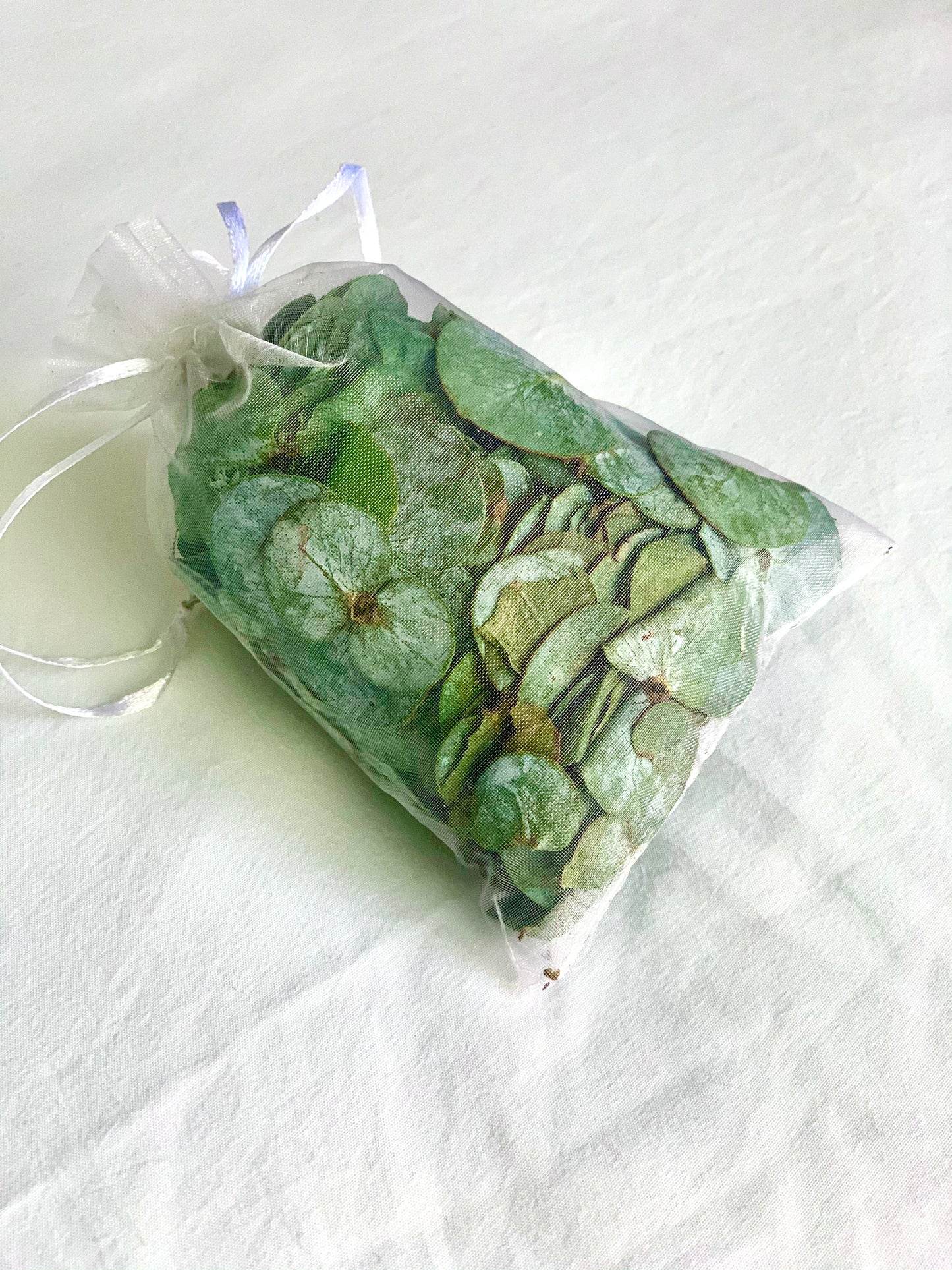 Eucalyptus Pouches