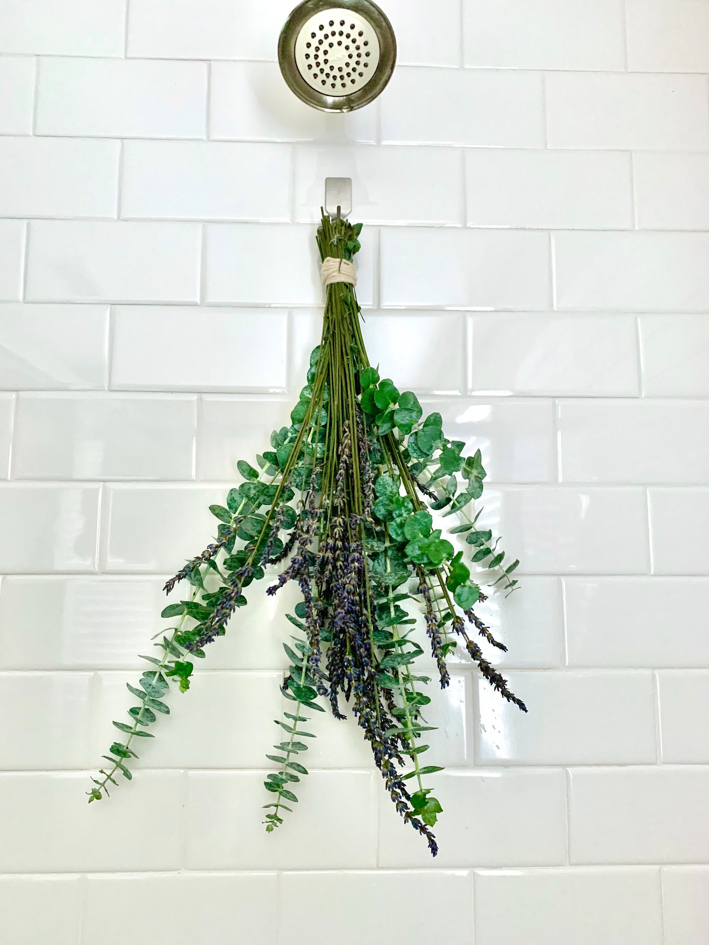 Shower Eucalyptus & Lavender Bunch