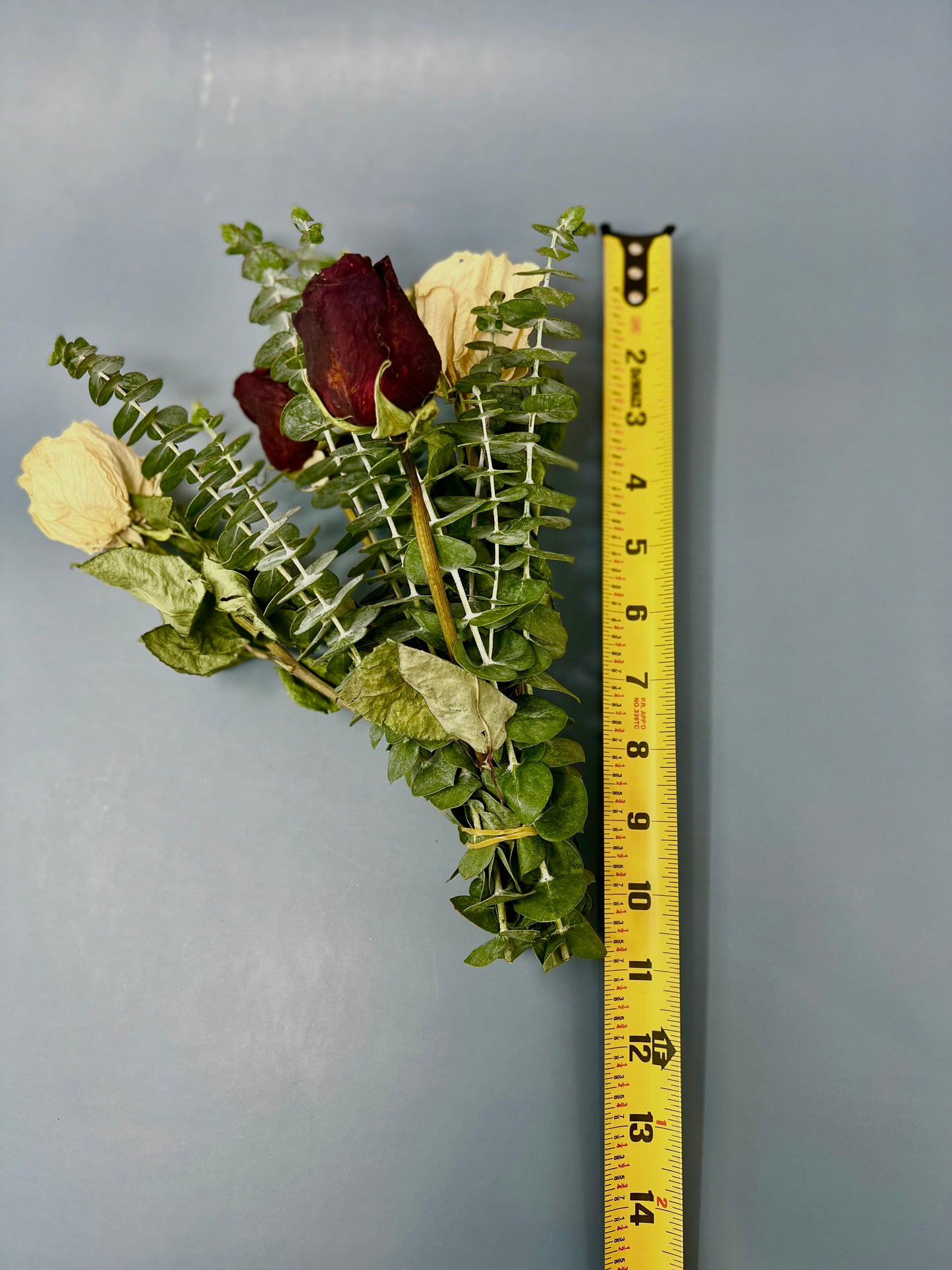 Fresh Eucalyptus Dried Rose Bundle