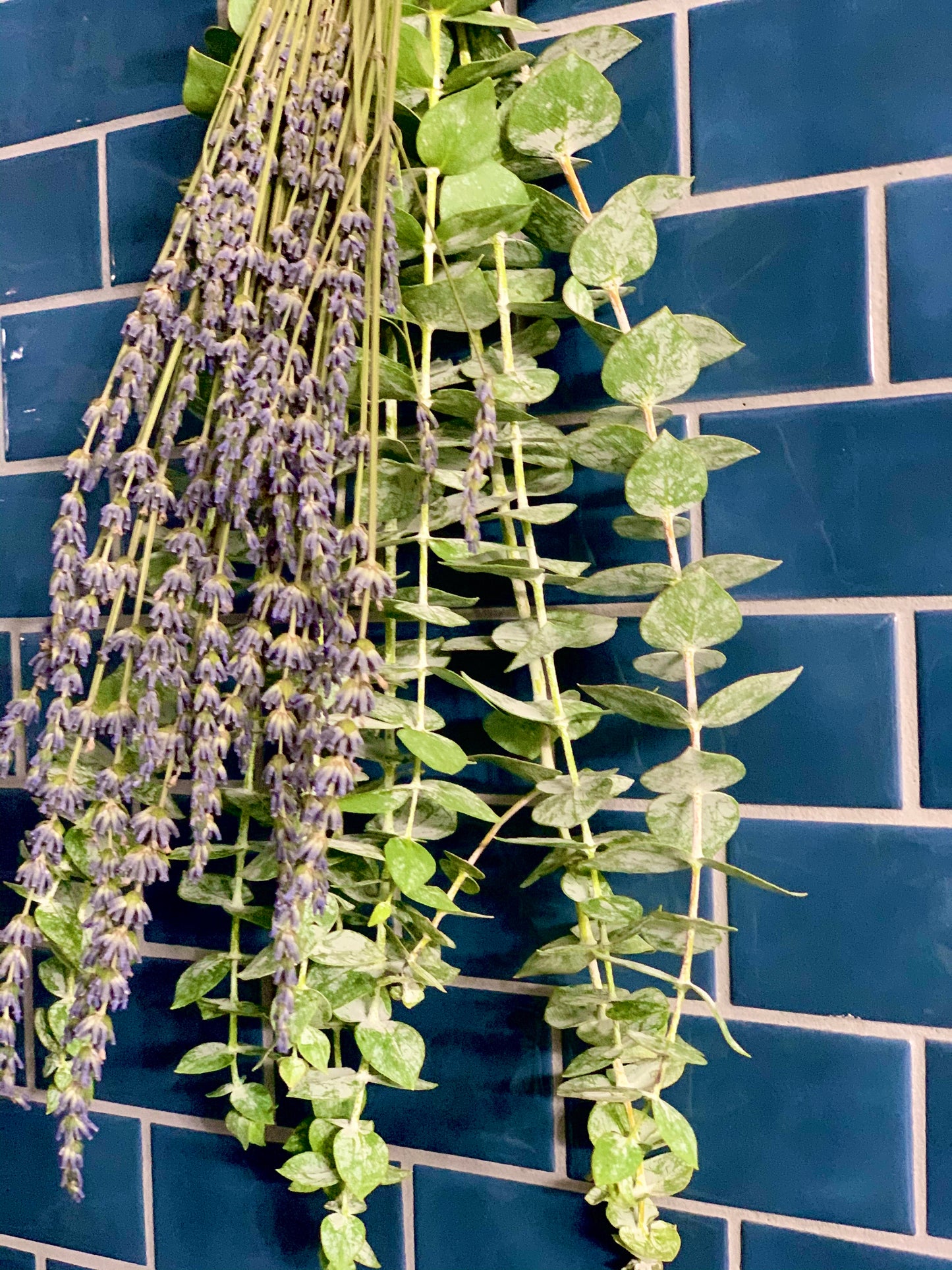 Shower Eucalyptus & Lavender Bunch