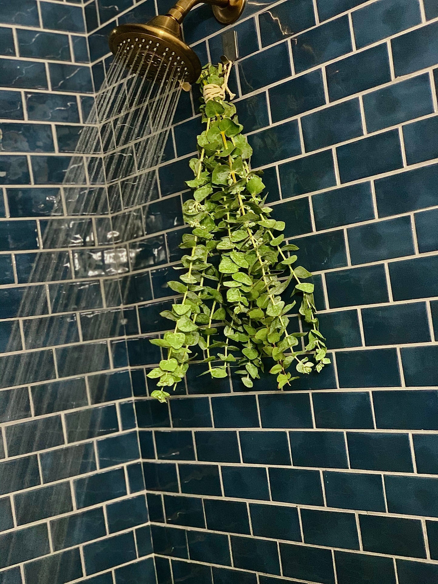 The Original Shower Eucalyptusâ„¢