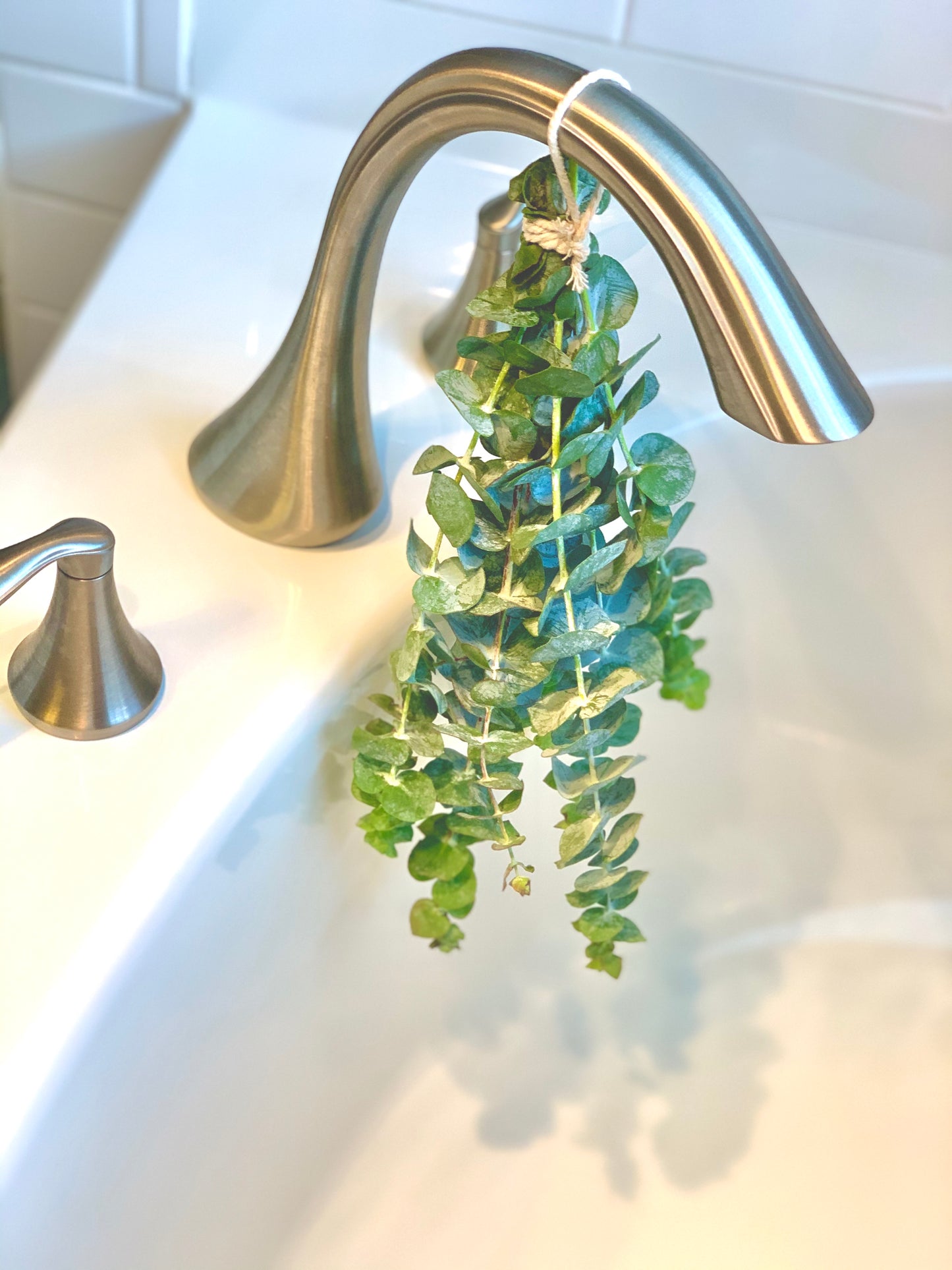 Fresh Petite Bath Eucalyptus Bunch