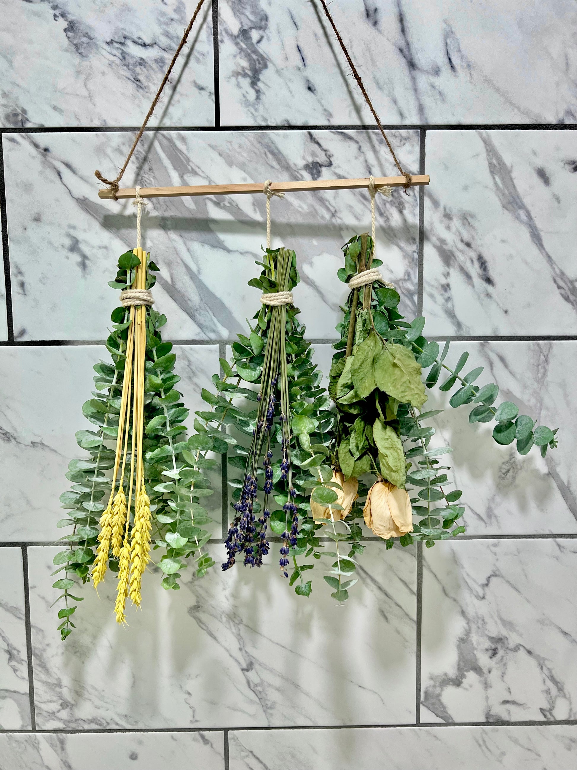 eucalyptus plant hanging 3 Bundle Eucalyptus Set