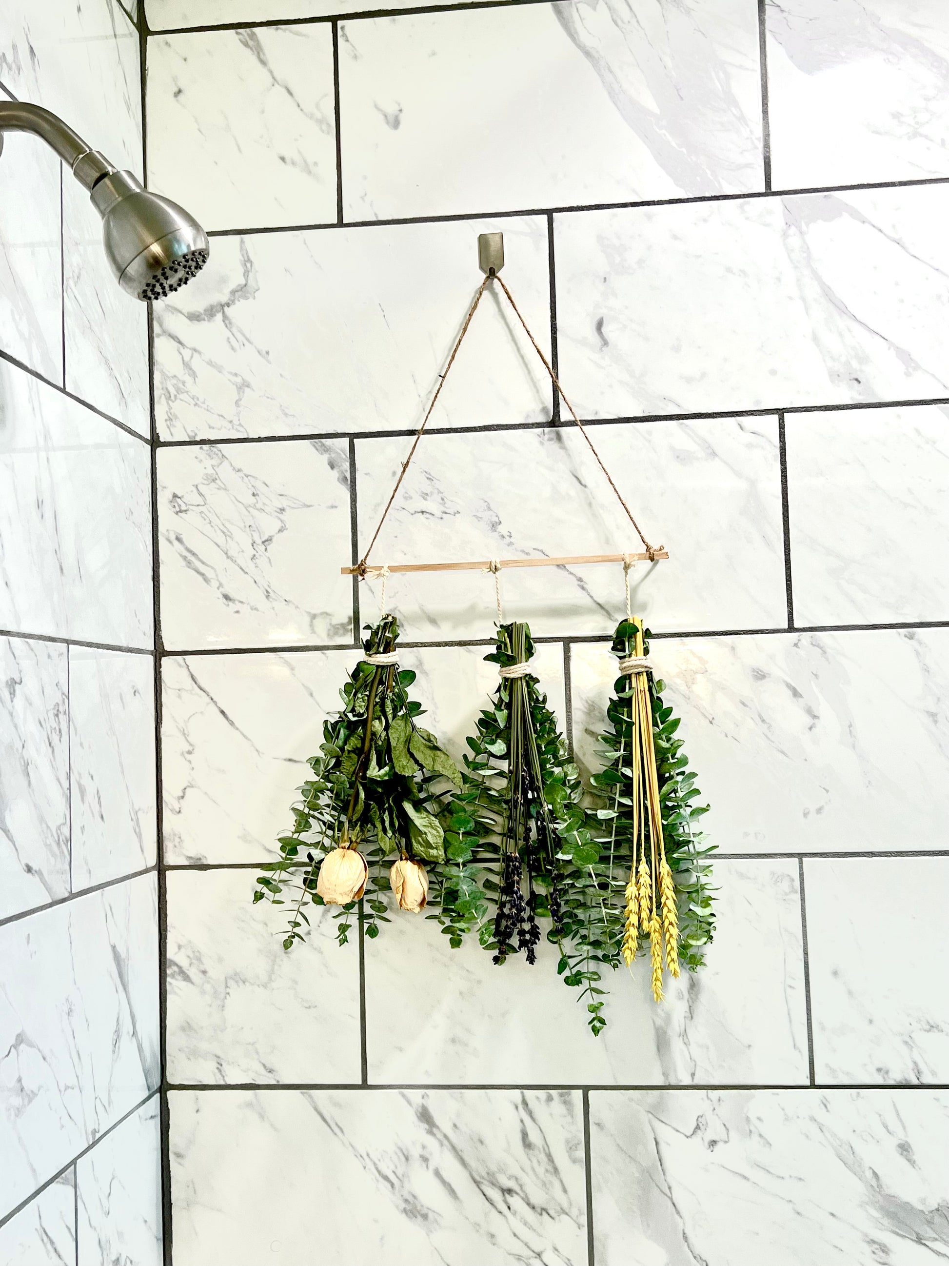 eucalyptus hanging plant for shower 3 Bundle Eucalyptus Set