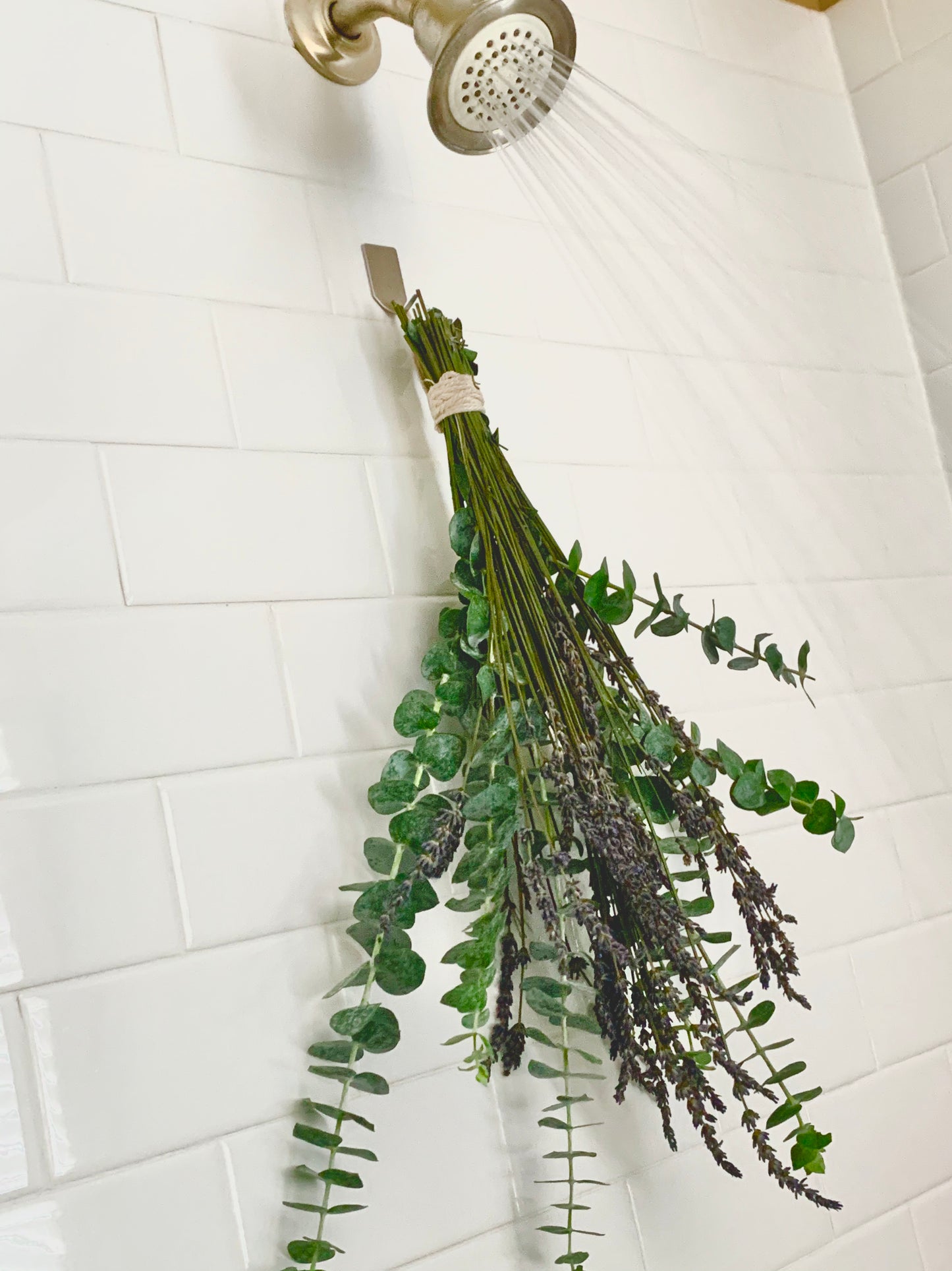 Shower Eucalyptus & Lavender Bunch