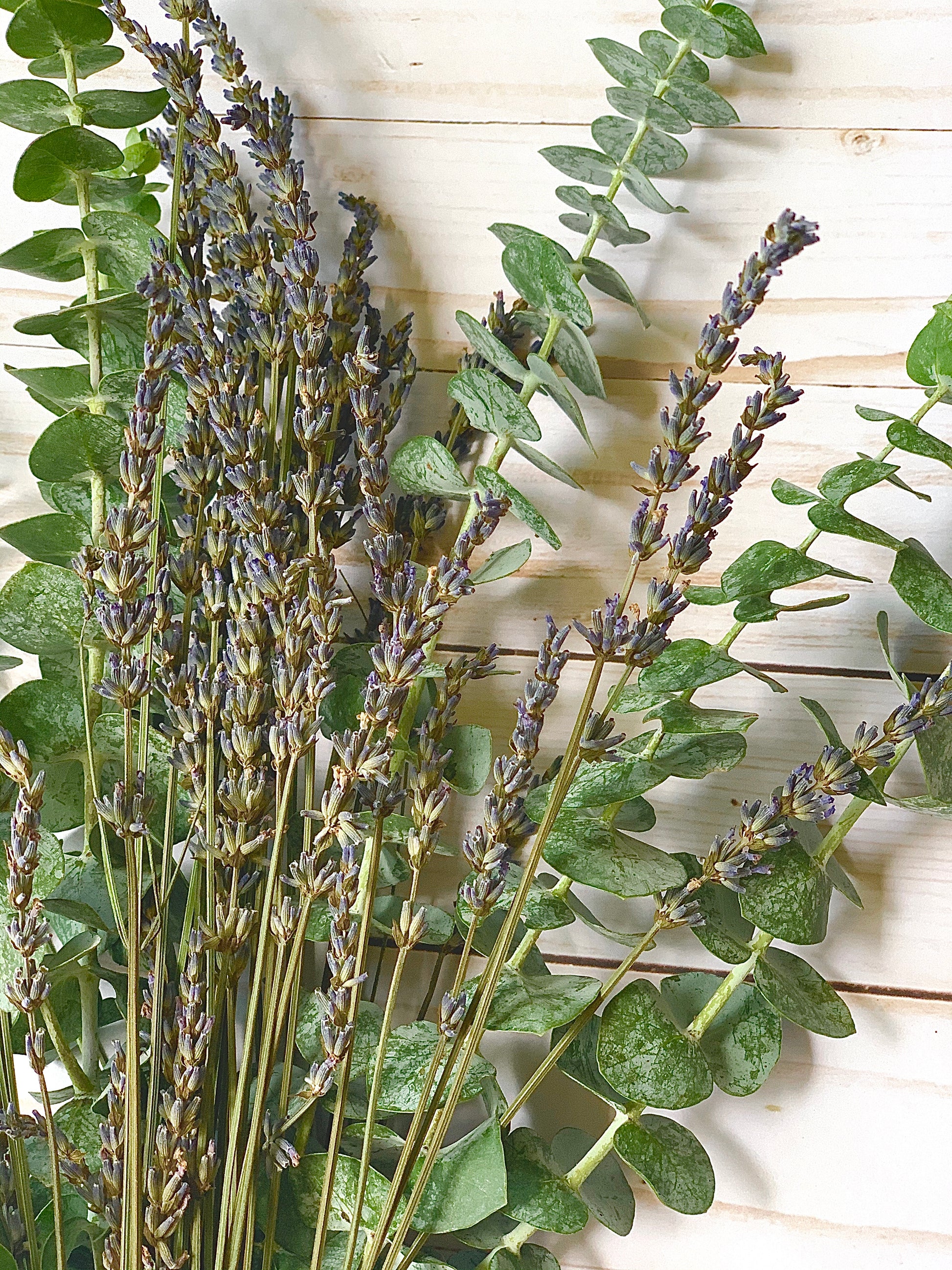 lavender plant for shower Shower Eucalyptus & Lavender Bunch X-Large