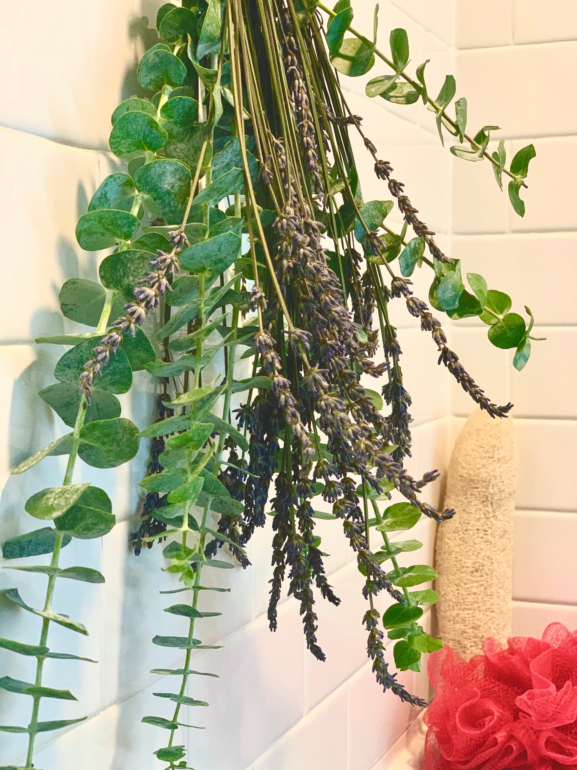 Dried Eucalyptus Stems And Lavender Bundle For Shower - Temu