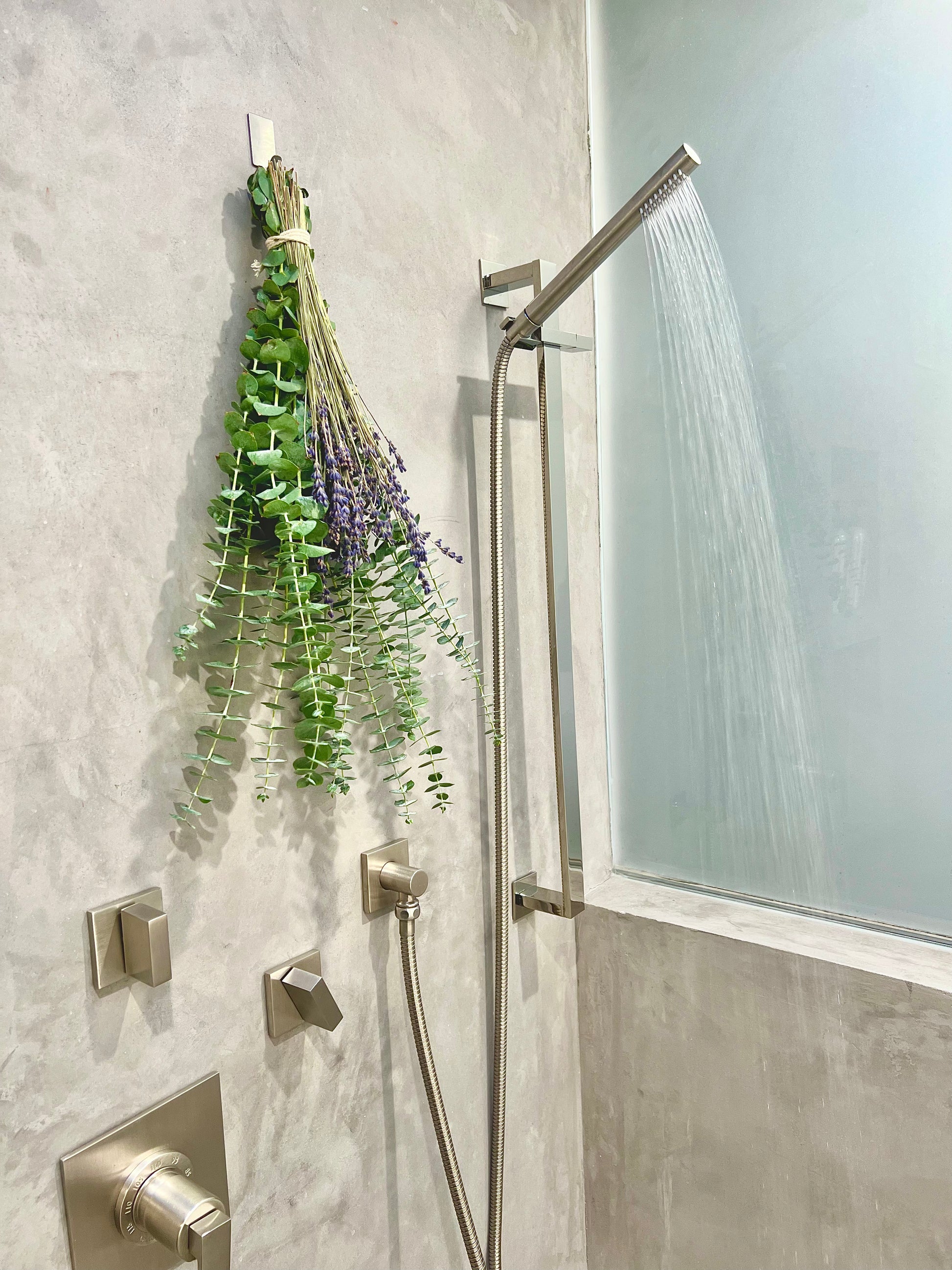lavender plant in shower Shower Eucalyptus & Lavender Bunch X-Large