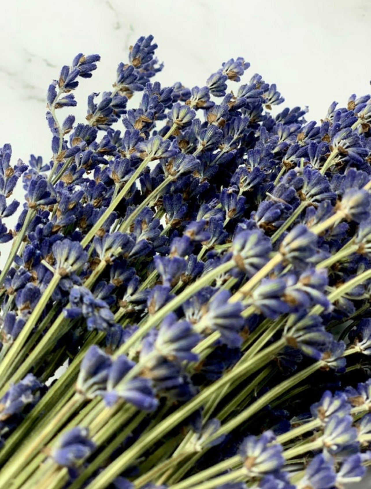 Dried Super Blue Lavender bundles are available for sale!